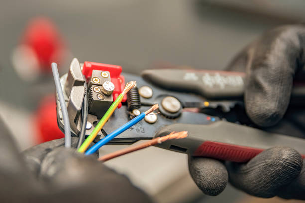 Best Electrician for Home Renovation  in Rancho Alegre, TX